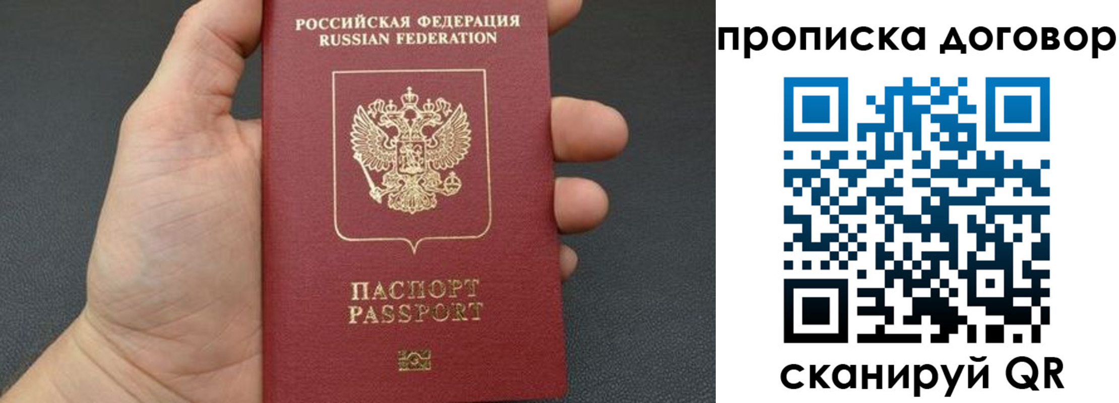 прописка в Вязьме